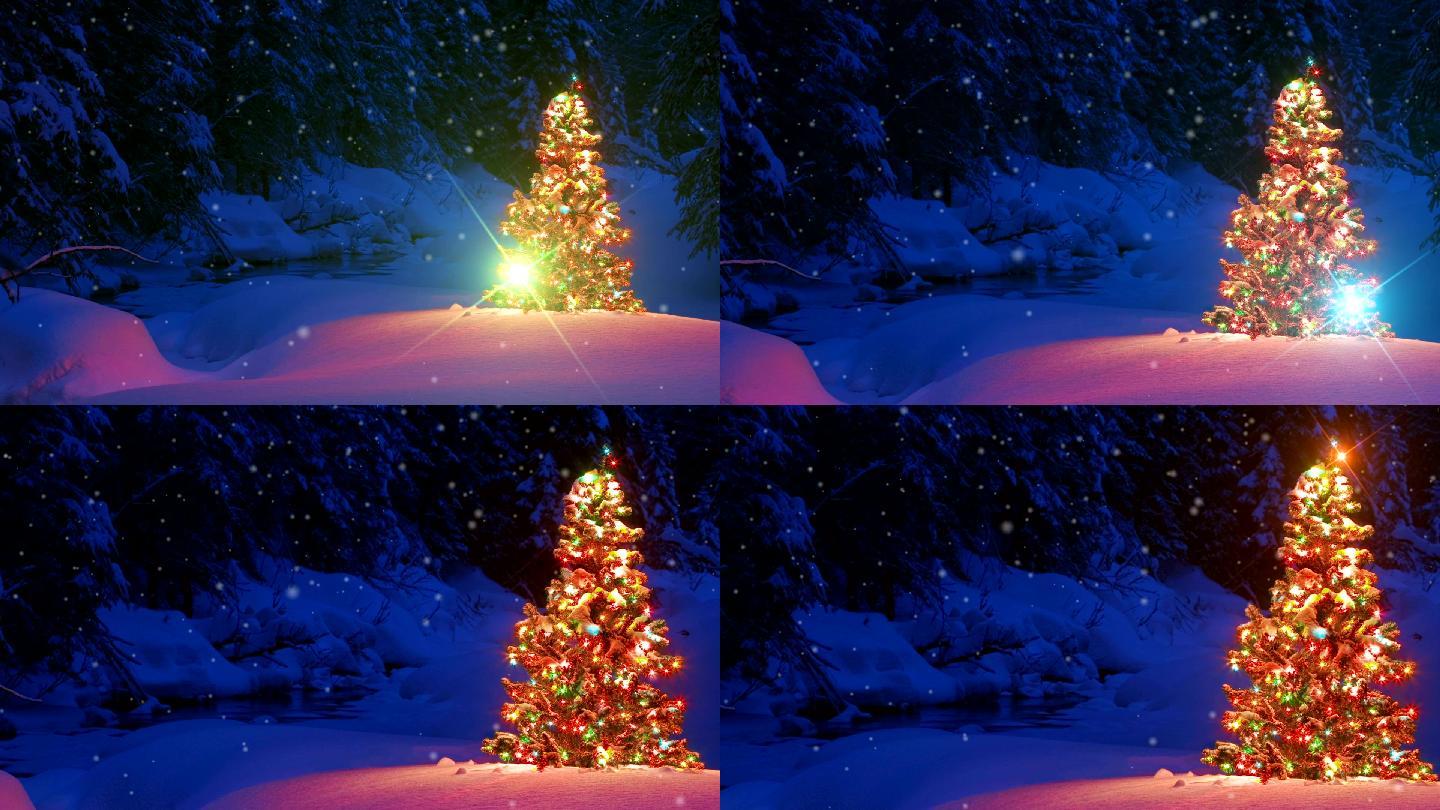 雪林中的圣诞树在户外闪闪发光