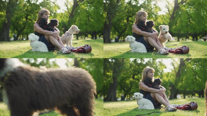 公园里的女人和狗狗