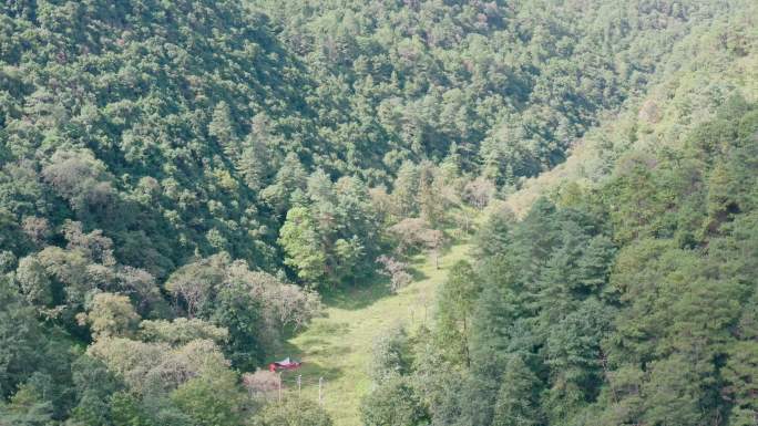 青山绿水航拍