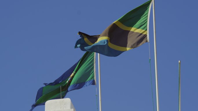 非洲坦桑尼亚总统府的国旗