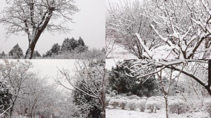 4K雪景公园雪后风光雪中即景