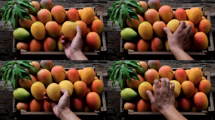 芒果水果慢动作入水创意特写主图视频