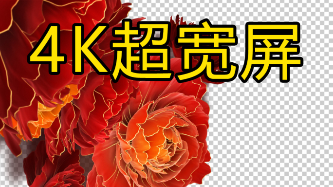 4K牡丹花开带通道