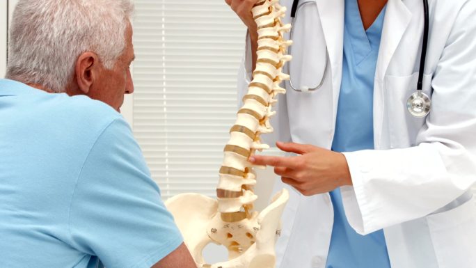 脊柱模型骨科讲解门诊