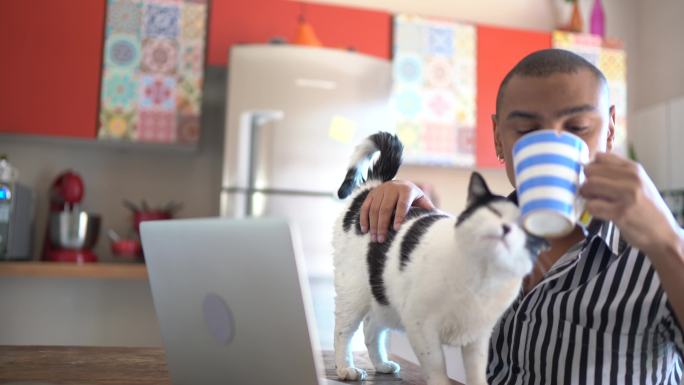 男人在家里用笔记本电脑和猫玩