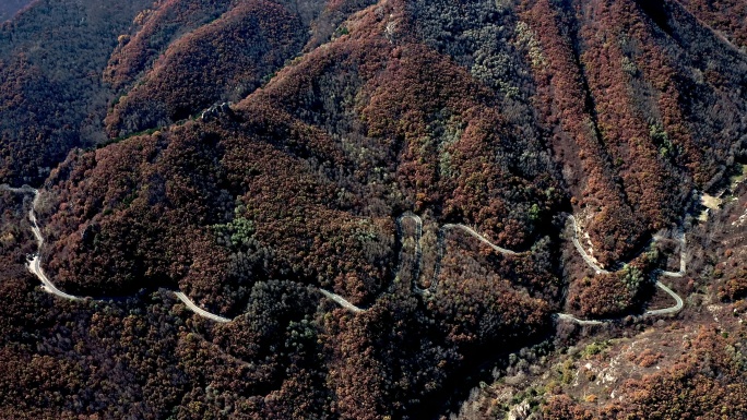 航拍山林尽染的蜿蜒的盘山公路秋色