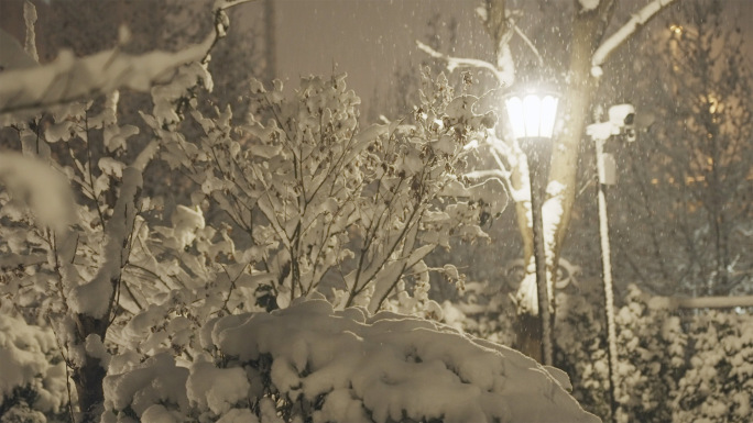 小区下雪唯美慢镜头4K