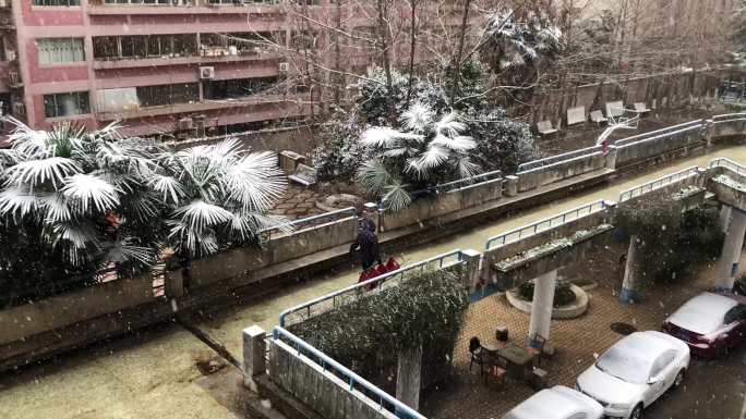 小区下雪了