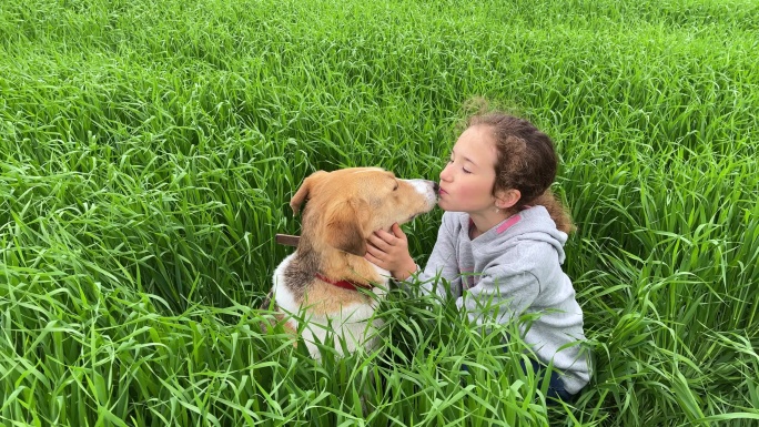 4k可爱的小女孩在绿色的高草上亲吻和拥抱她的狗。