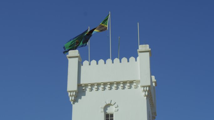 非洲坦桑尼亚总统府的国旗