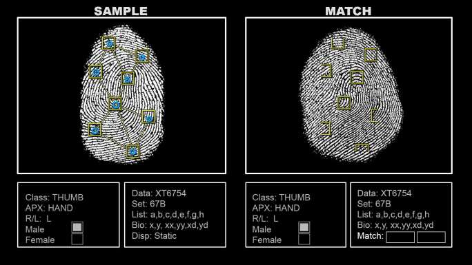 指纹匹配界面屏幕视频素材像素脉搏匹配率手