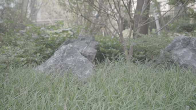 树叶草地岁月静好唯美清新风景4k视频素材