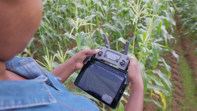 女农学家使用现代技术用无人机监控玉米作物的特写镜头