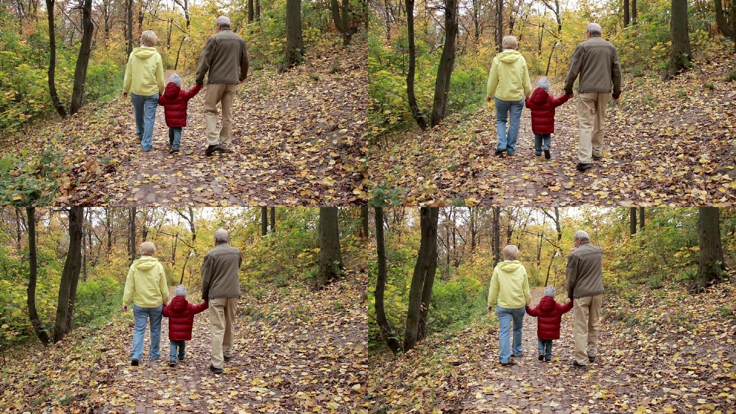 祖父母和孙子孙女在秋季公园