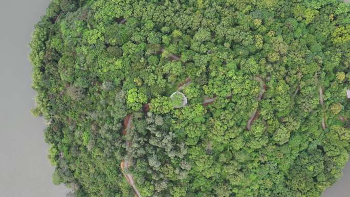 深圳平湖生态园：镶嵌着两座碧波荡漾的水库