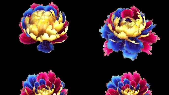 4K国潮风格牡丹花带通道