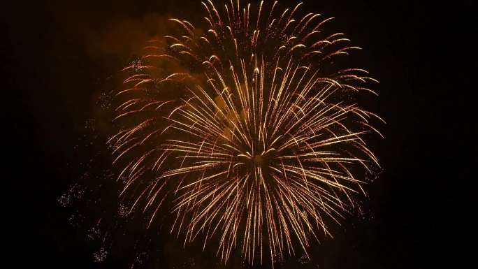 夜空中的烟花礼花礼炮爆竹炮竹绽放动画