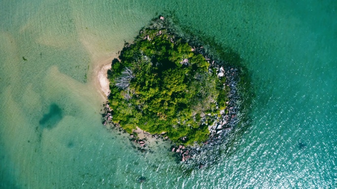 海洋中的岛屿森林海