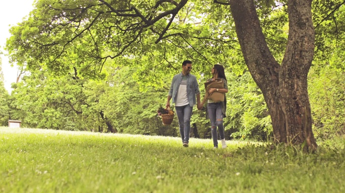 夫妇手牵着手，在大自然中散步和野餐。