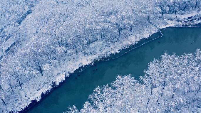 公园雪景航拍