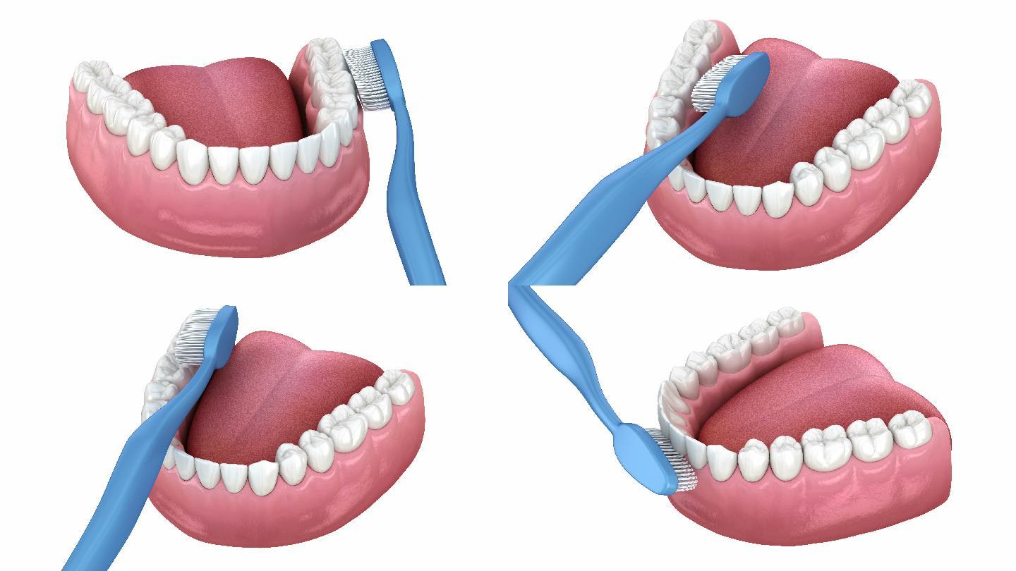 口腔卫生的医学精确3D动画