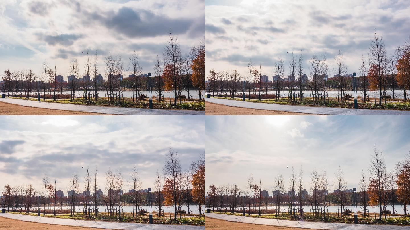 冬季城市公园湖面树林多云天气延时丁达尔