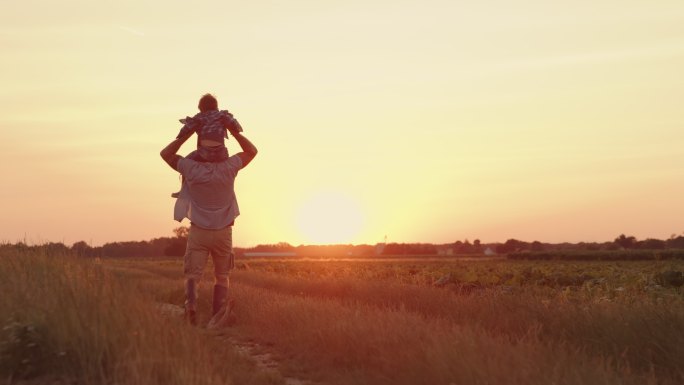 日落时，一个父亲扛着儿子在田地中间