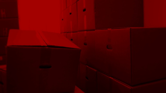 红色灯光的储藏室纸箱打包发货