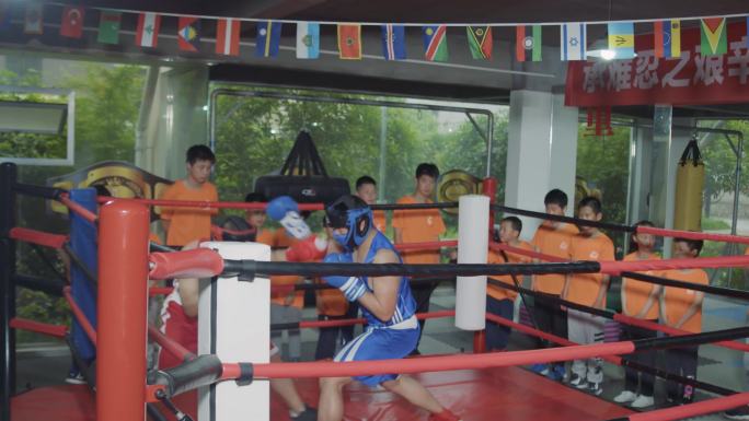 拳击 拳击俱乐部  少儿儿童拳击教学培训
