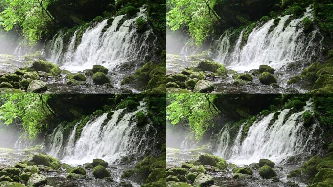日本秋田的深林本塔基瀑布