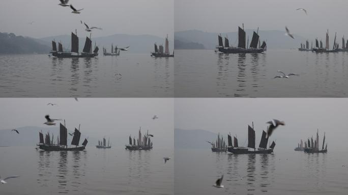 无锡太湖鼋头渚夕阳帆船红嘴鸥