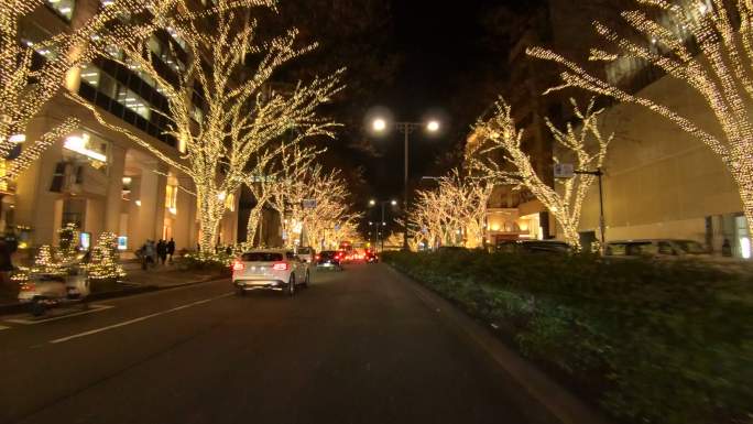 城市夜间夜景驾驶冬季城市街道