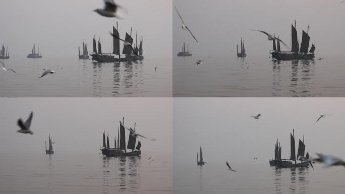 无锡太湖鼋头渚夕阳帆船红嘴鸥