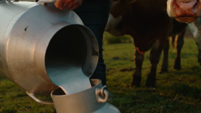 农夫把牛奶从一桶倒到另一桶