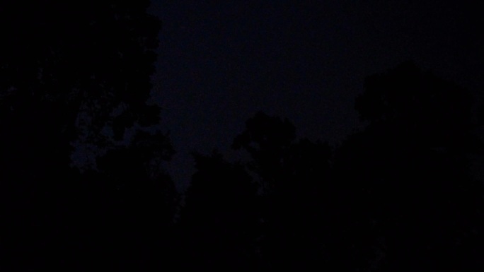 黑夜里森林里的闪电