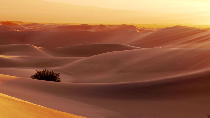沙漠景观延时沙漠中绿植草沙漠延时拍摄沙漠