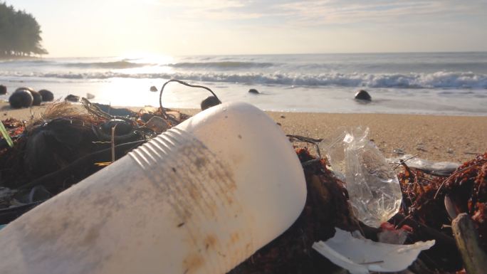 环境污染，海滩上的塑料瓶。