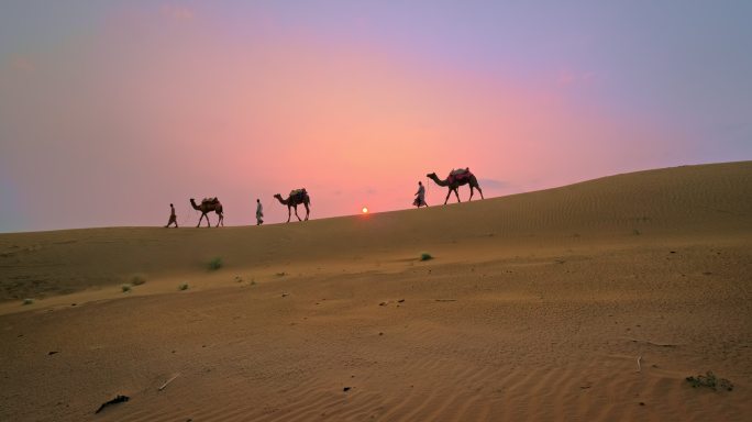 日落时分，沙漠的沙丘上骆驼和人