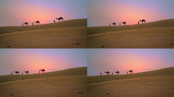 日落时分，沙漠的沙丘上骆驼和人