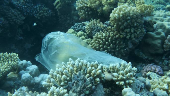 塑料袋漂流在美丽的珊瑚礁附近。塑料污染。