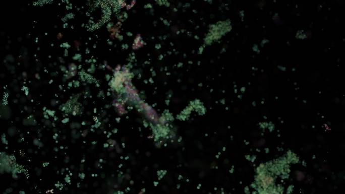 冠状病毒疾病爆炸