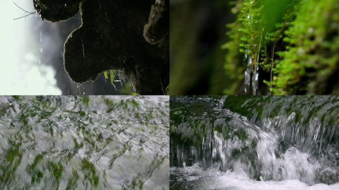 泉水 绿色自然  青苔 溪水