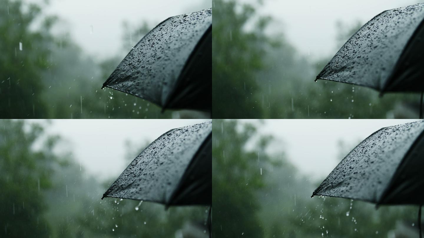 雨点落在伞上