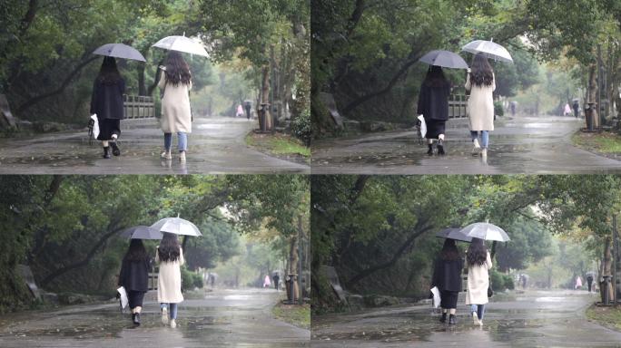 公园雨中时尚美女打伞的背影