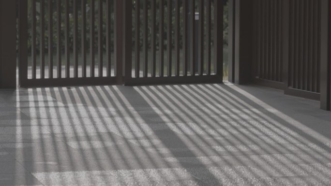 艺术光影树影，栅格光艺术4k视频素材