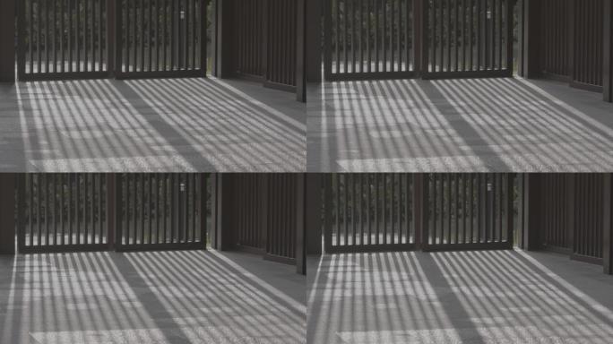 艺术光影树影，栅格光艺术4k视频素材