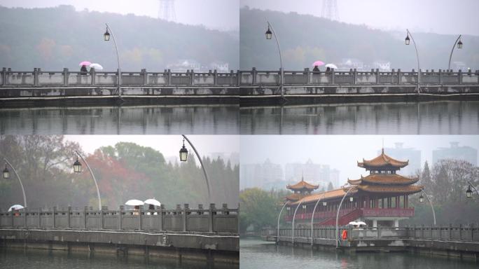 江南烟雨公园湖畔-游湖雨景