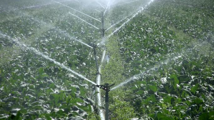 农业灌溉现代农业灌溉农业科技智能智慧喷灌