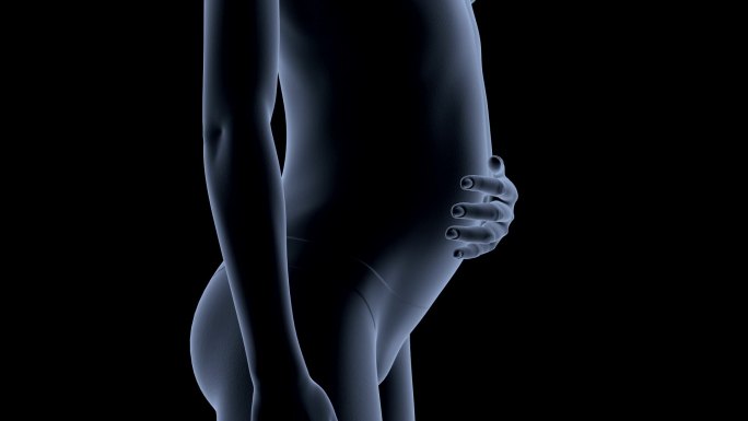 怀孕动画受孕期腹部隆起孕妇产妇