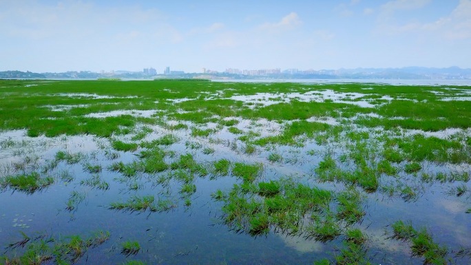 草海韭菜坪高原地貌